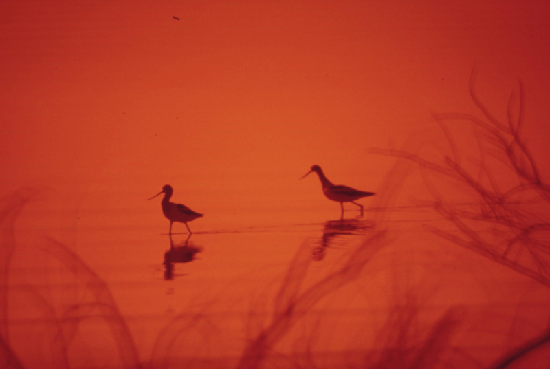 Kolejny kredyt hipoteczny mPlan od mBank S.A. nieważny&nbsp;!